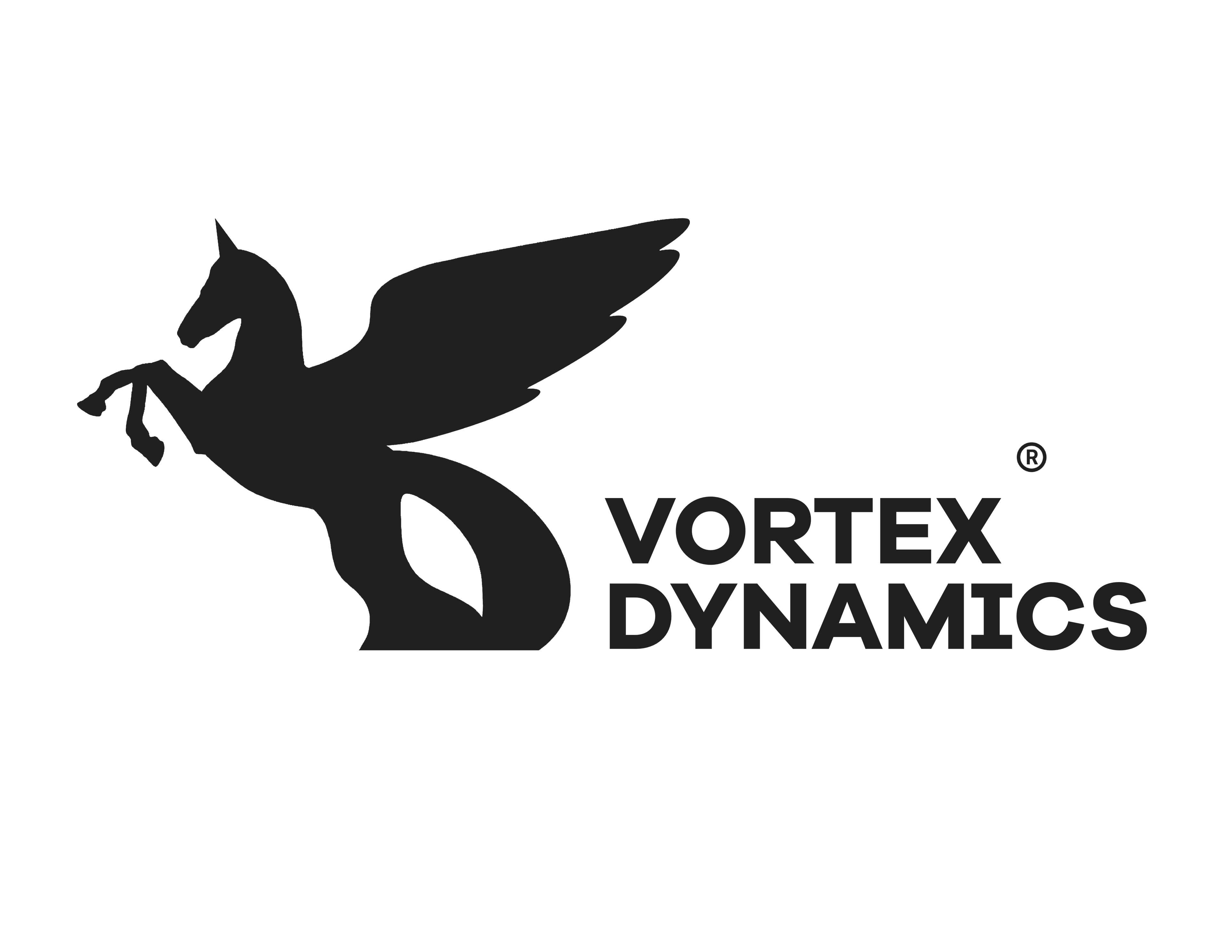 Vortex Dynamics
